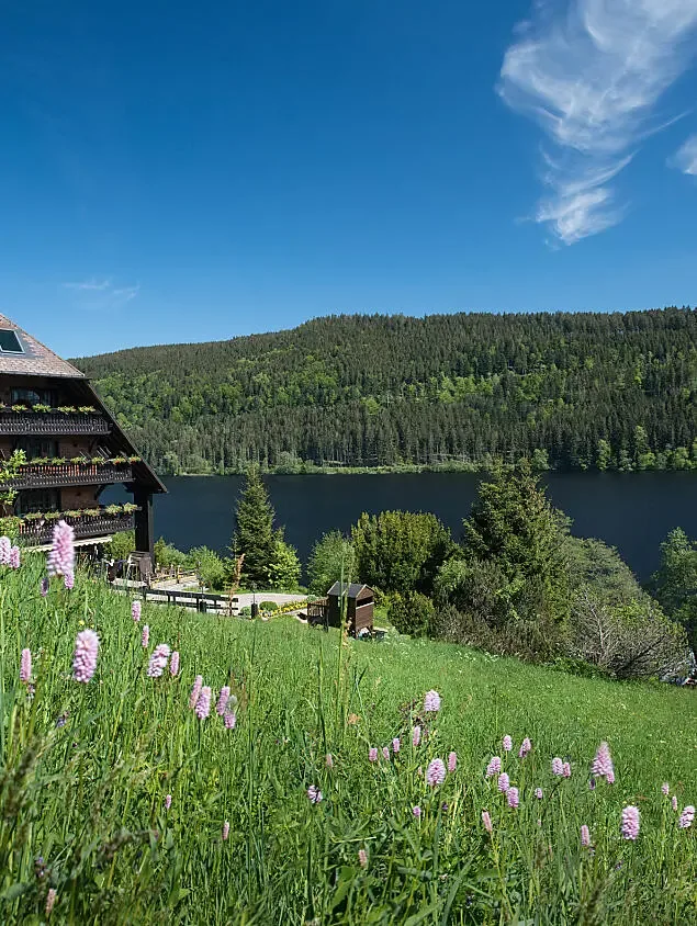 Exterior del hotel