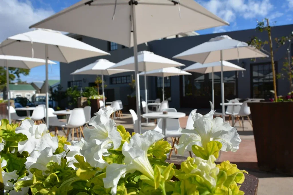 Zona para comer al aire libre