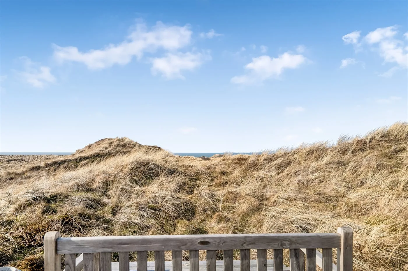 A wooden railing overlooks grassy dunes beneath a blue sky.