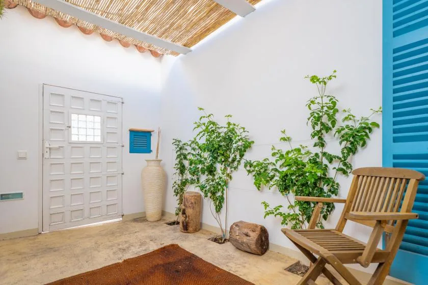 Un patio luminoso con una silla de madera, plantas frondosas y una cubierta de tejido.