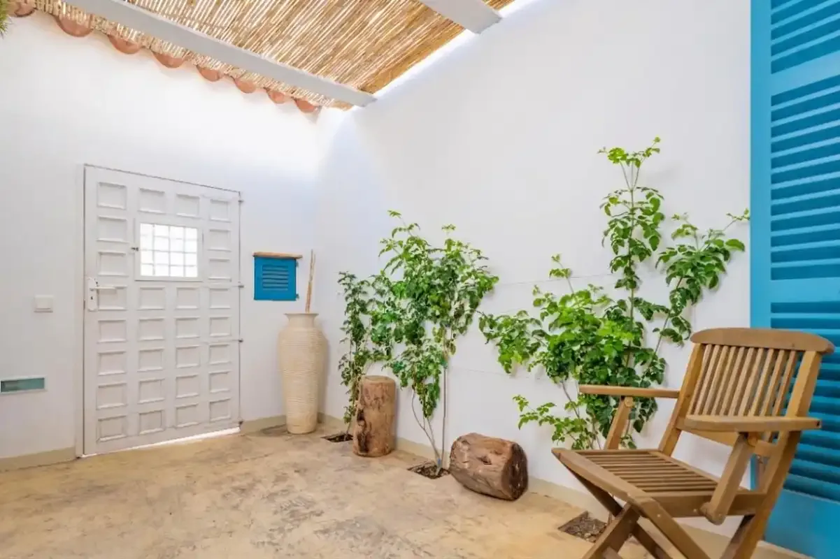 Un patio luminoso con plantas en macetas y asientos de madera junto a una puerta blanca.