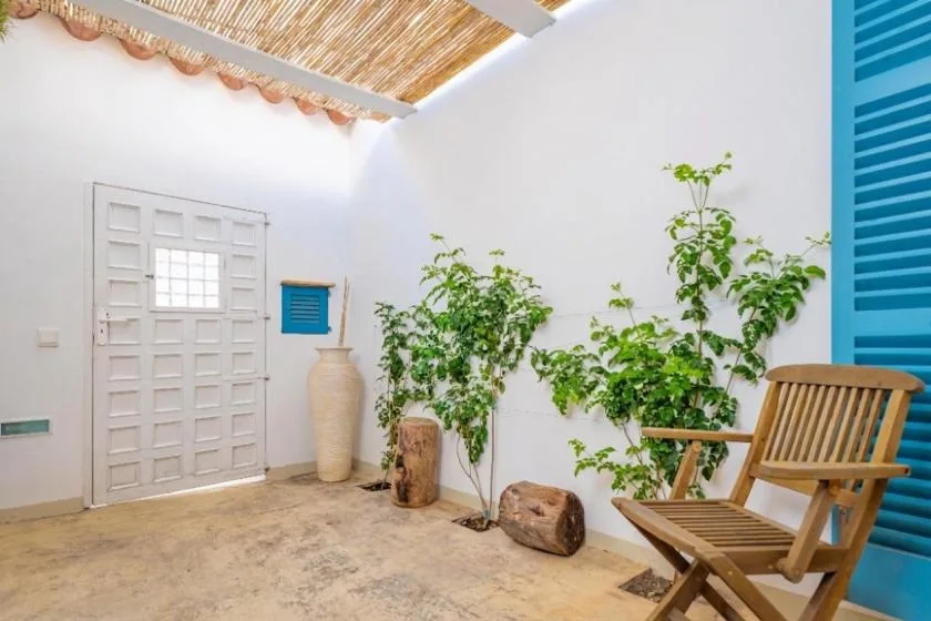 Un patio luminoso con plantas en macetas, una silla de madera y una contraventana azul.