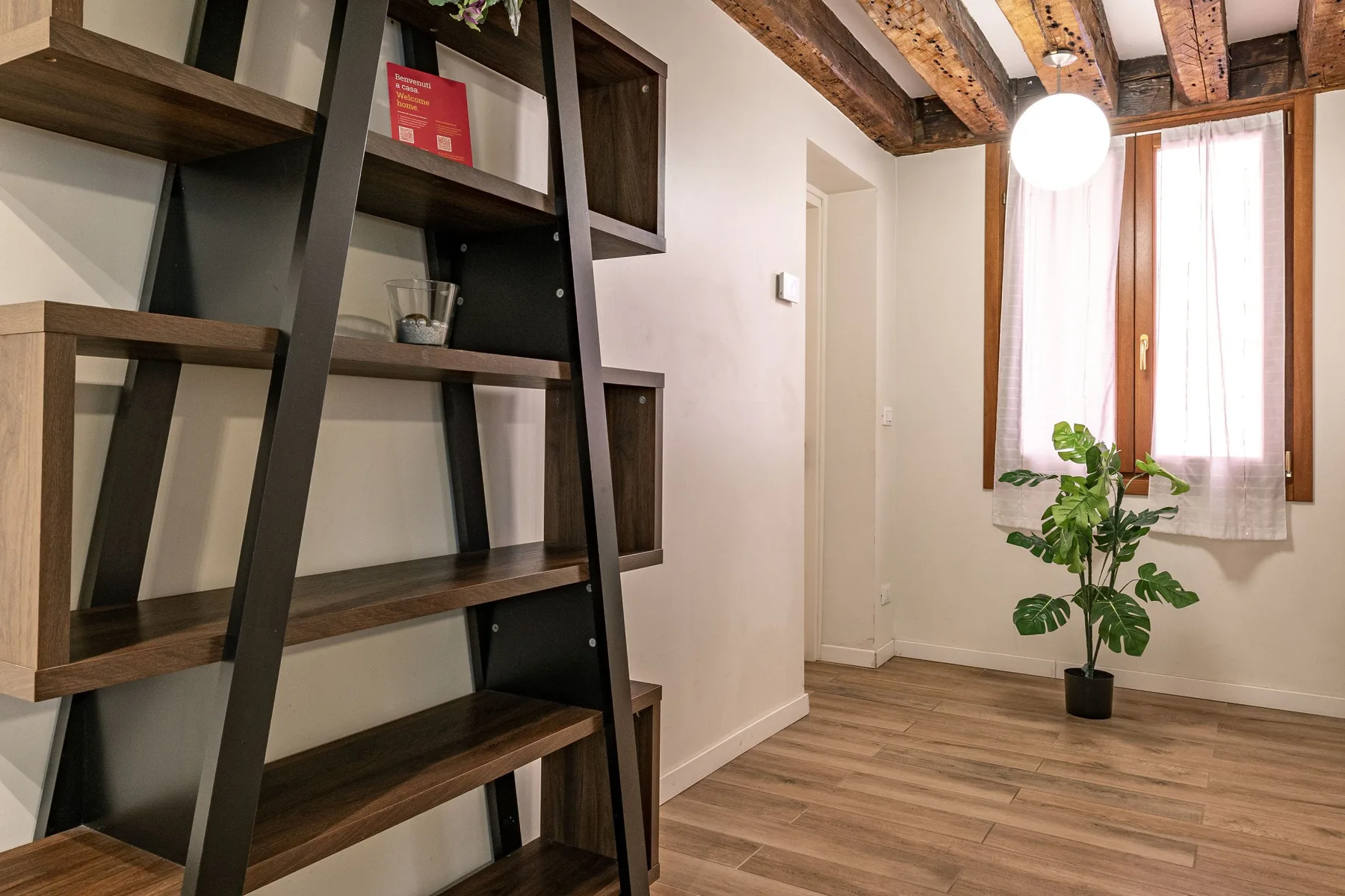 A bright room with open shelving, a window, and a potted plant.