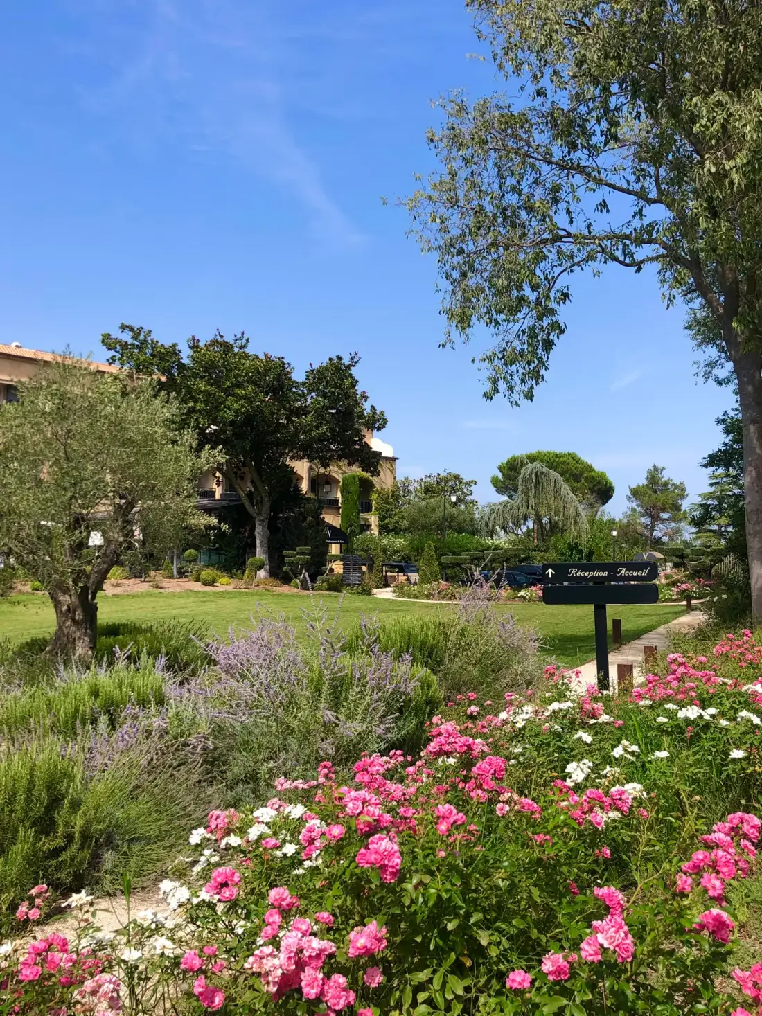 Foto del hotel