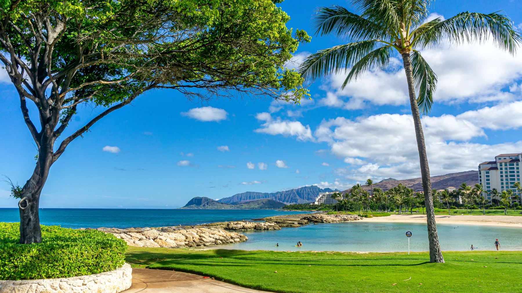 A tropical shoreline with a green lawn, palm tree, and distant mountains.