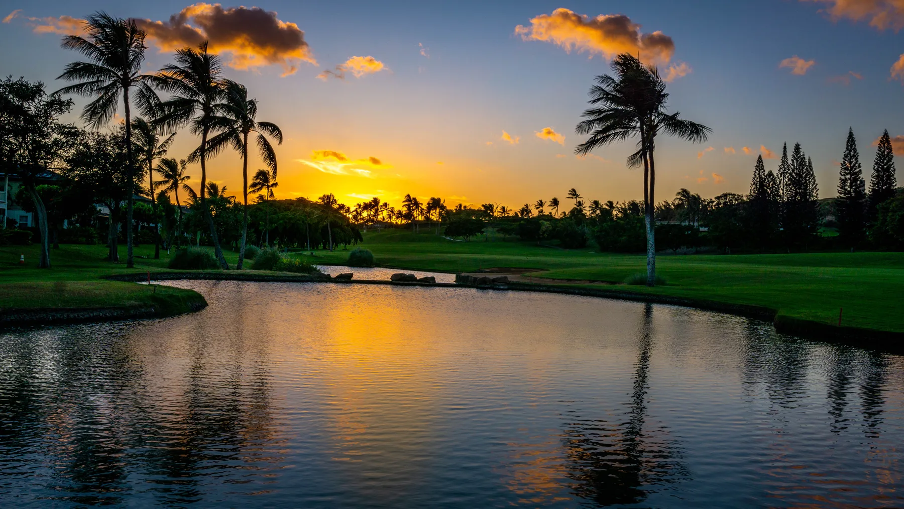 A pond reflects a vivid sunset, with palm trees and greenery along the banks.