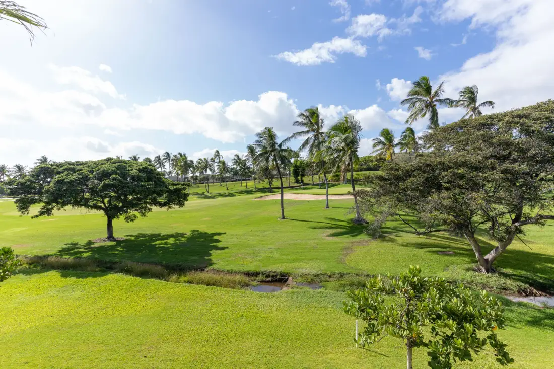 A broad green lawn with scattered trees and palm trees beneath a partly cloudy sky.