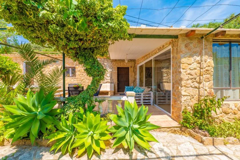 A stone house patio with sliding glass doors and leafy plants.