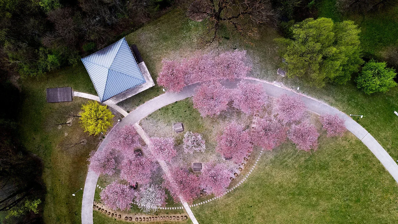 Park surroundings