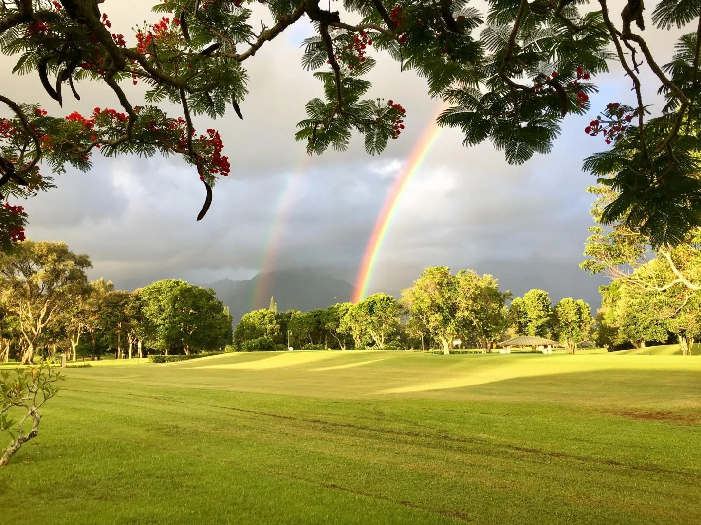 A broad green lawn and trees sit beneath a rainbow after the rain.