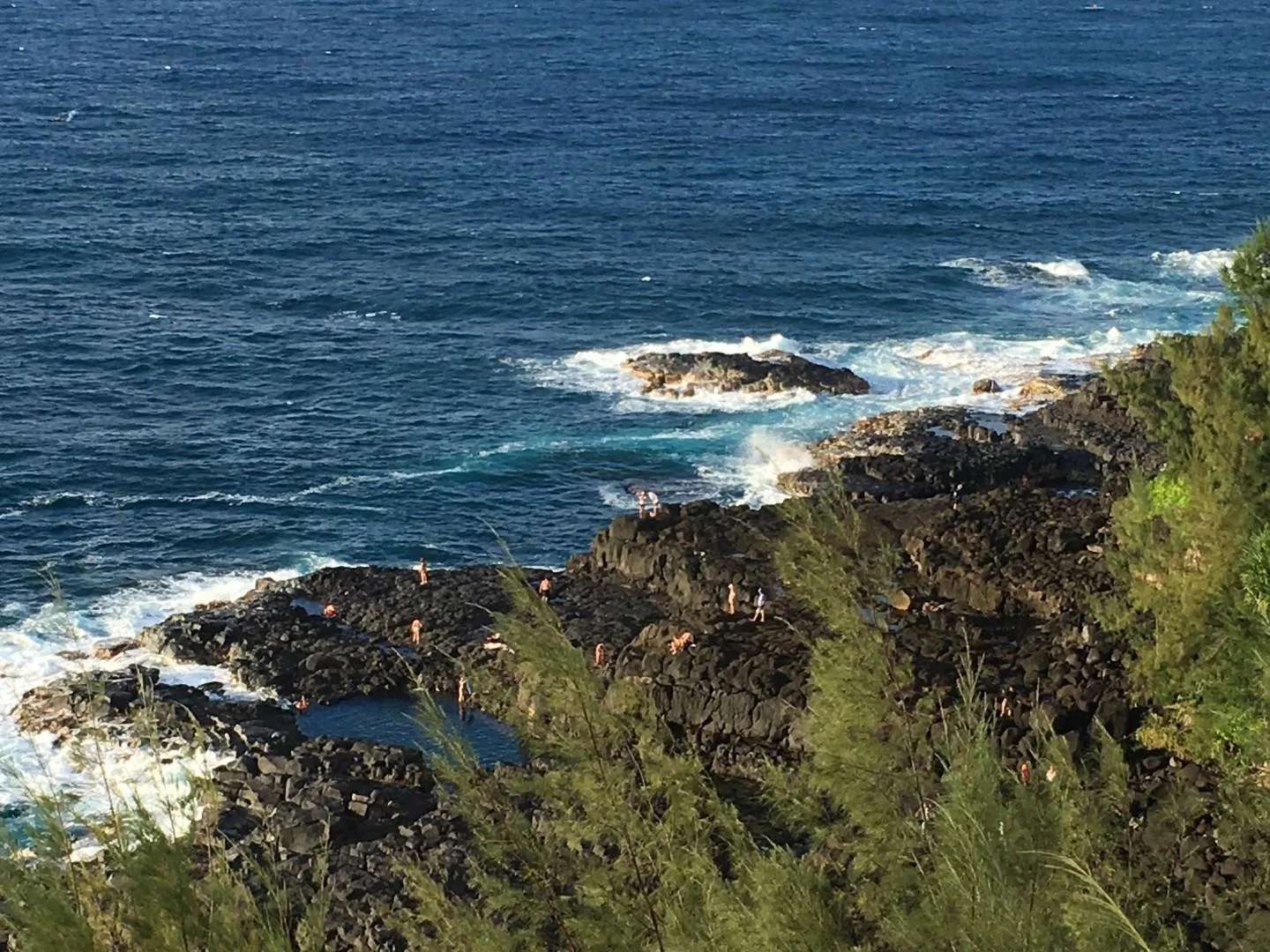 A rugged rocky coastline meets the ocean, with green vegetation along the shore.