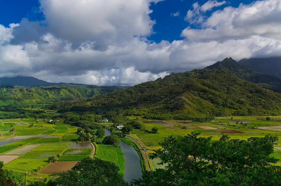 A green agricultural valley stretches toward forested mountains beneath a cloudy sky.