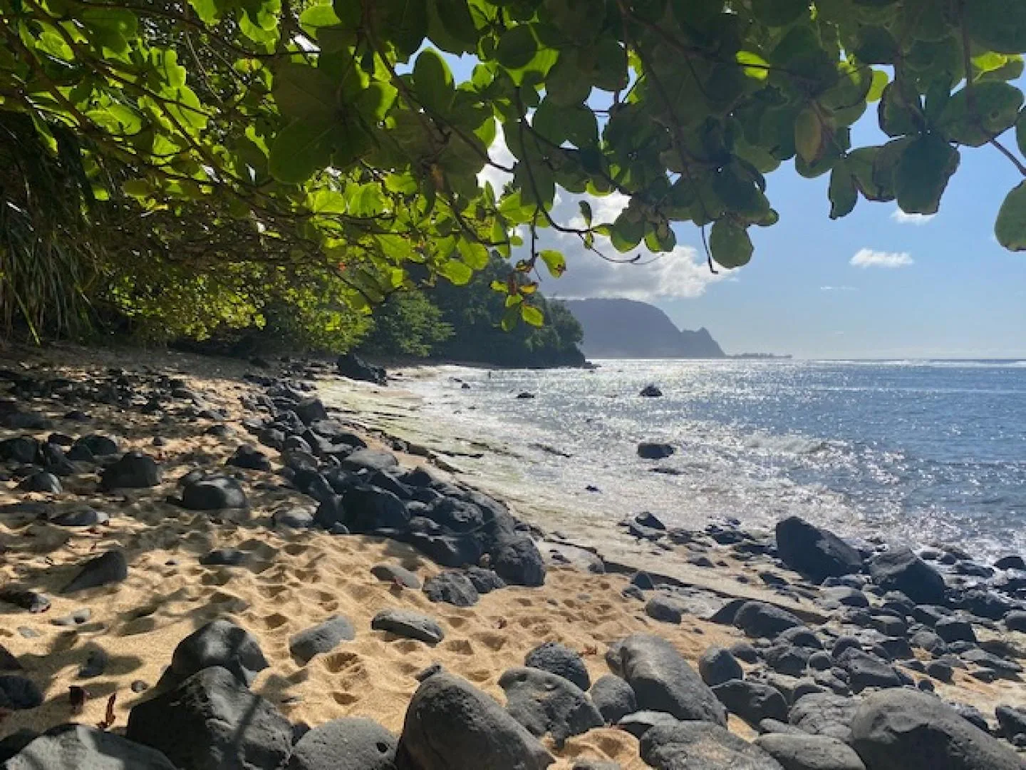 A rocky beach beneath leafy branches, with waves along the shore.