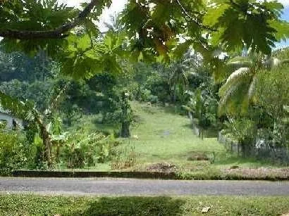 The property grounds