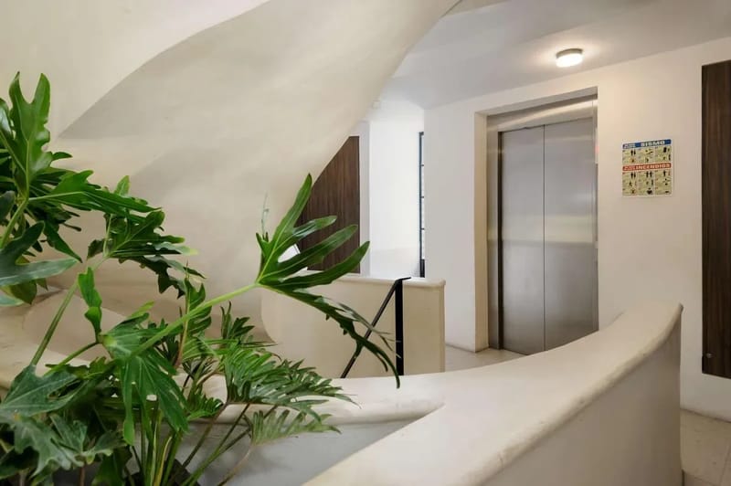 Contemporary building by Wynwood in Roma Norte