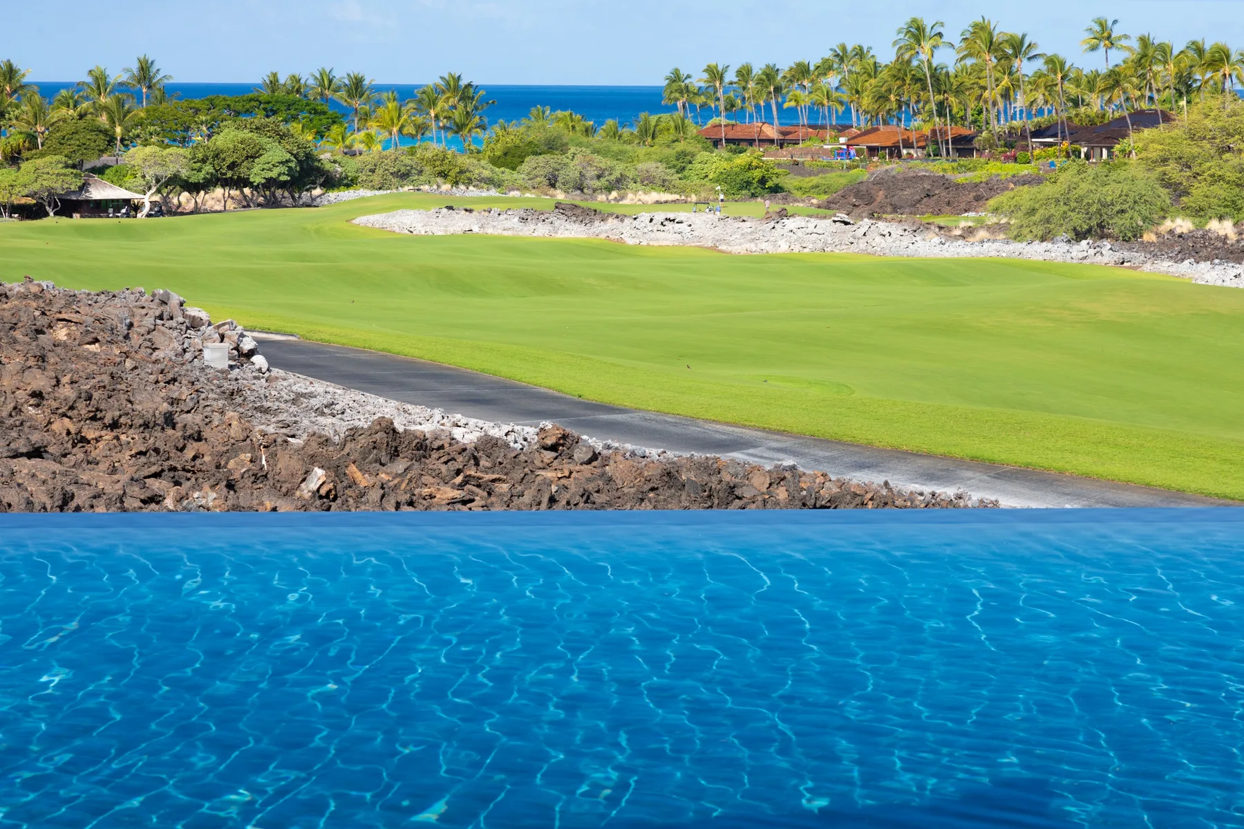 A golf course beside a blue pool, with palm trees and the ocean beyond.