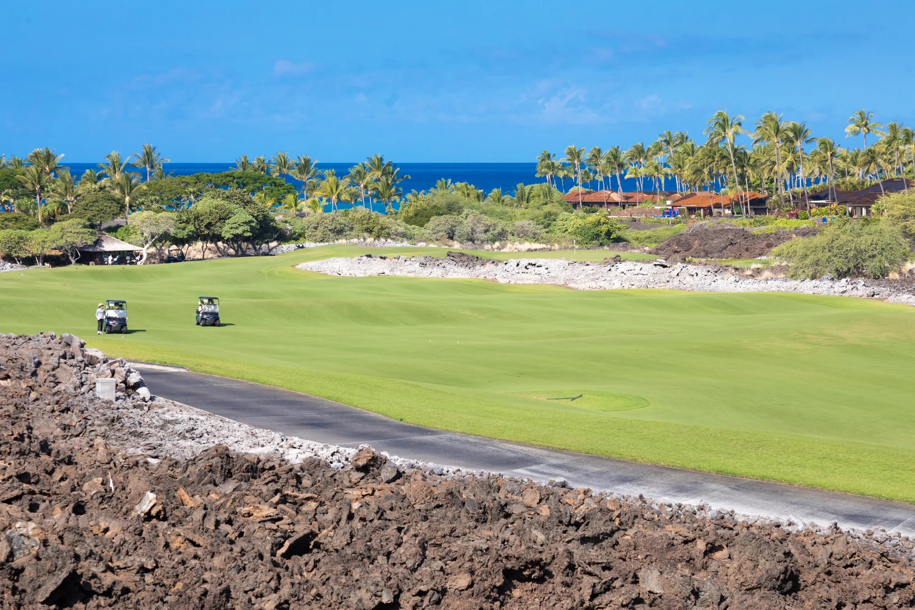 A green golf course stretches toward palm trees and the ocean.