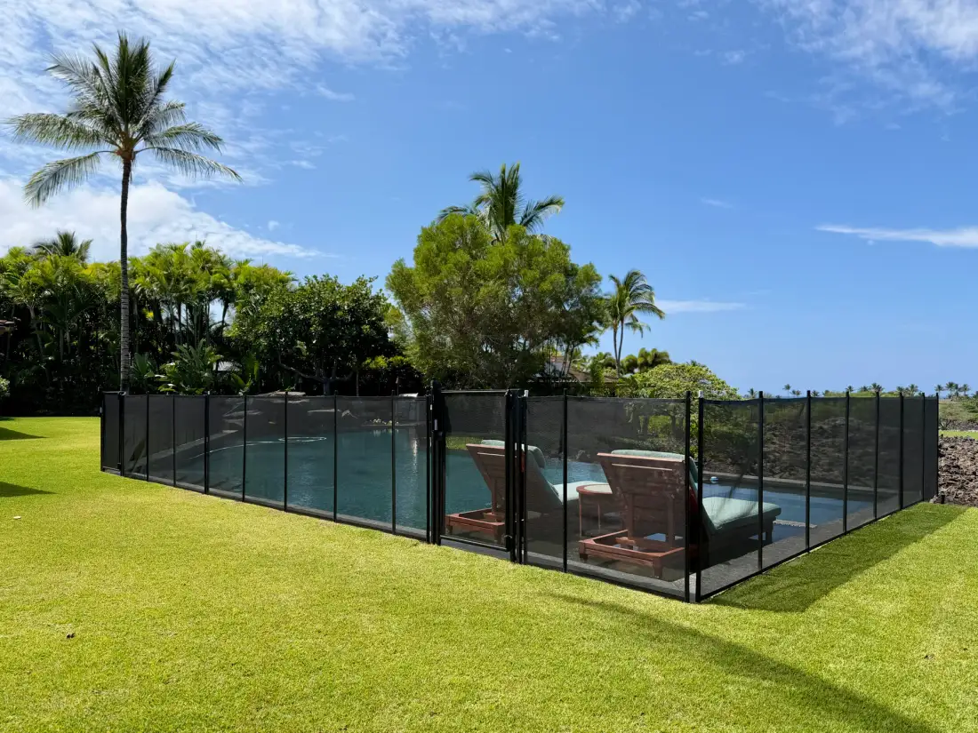 A fenced swimming pool sits in a grassy yard beneath palm trees.