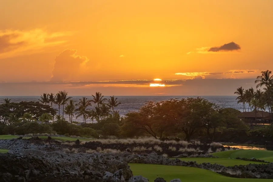 A sunset over the ocean, with palm trees and greenery in the foreground.