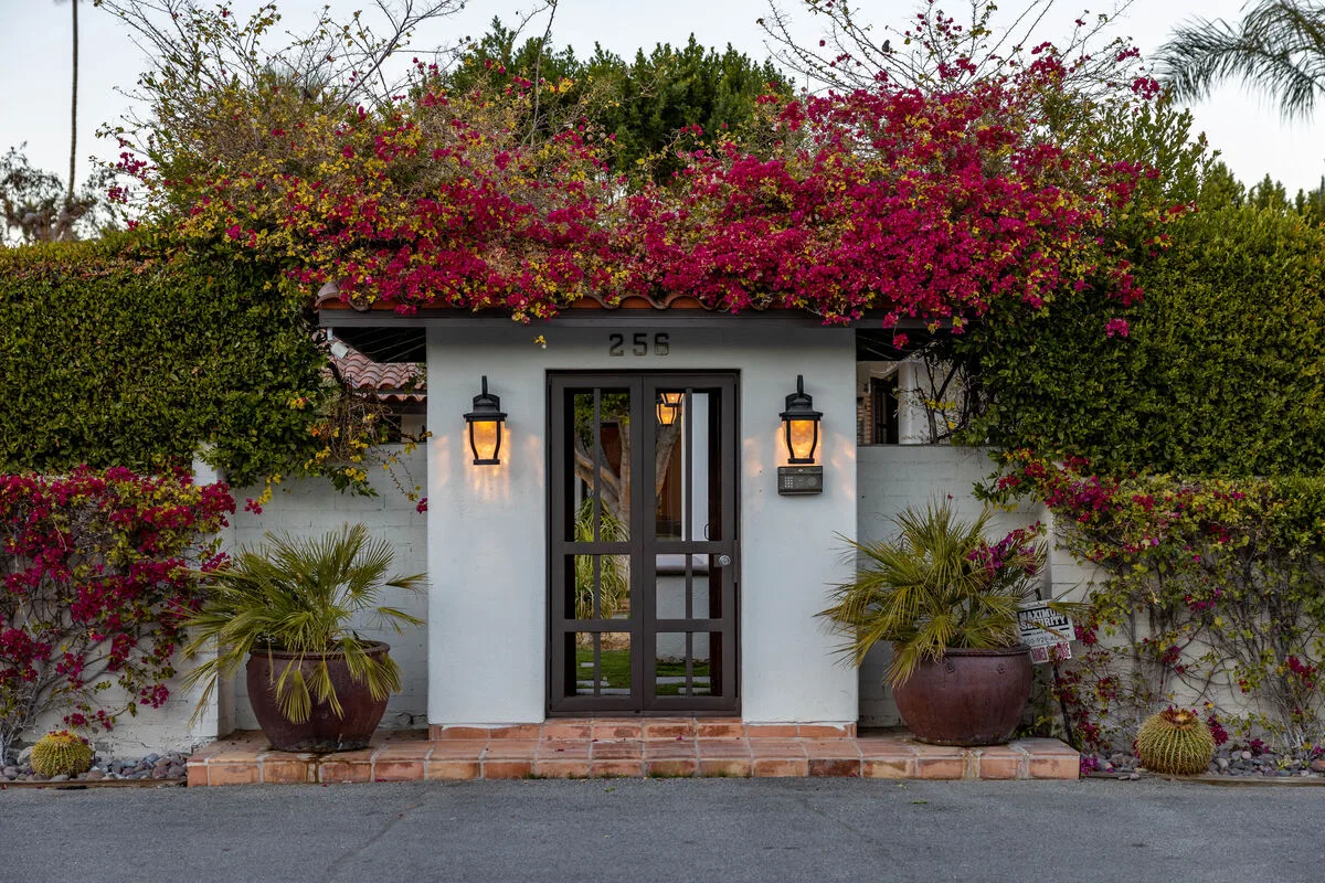 Lola Vista