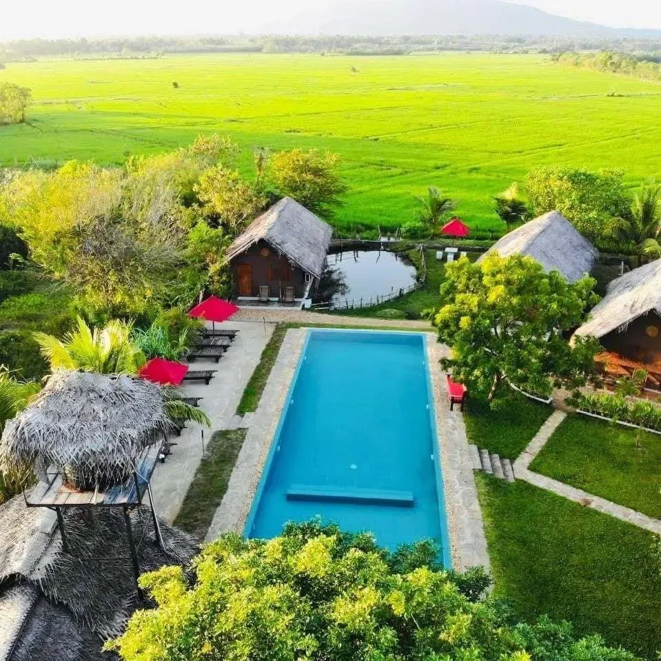 Piscina con vistas a los arrozales