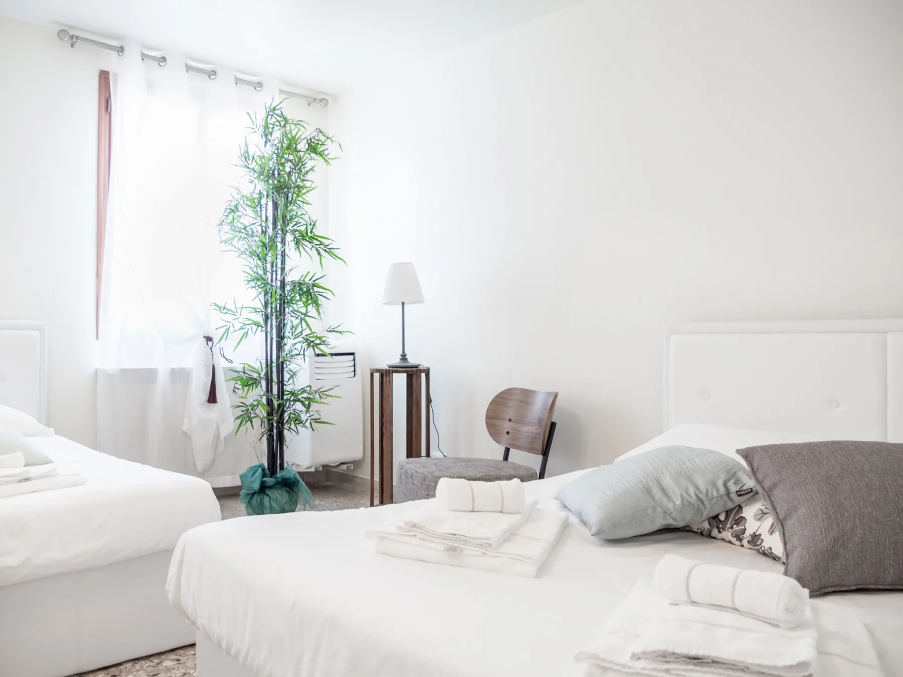 A bright bedroom with white bedding, a tall leafy plant, and a small bedside table.