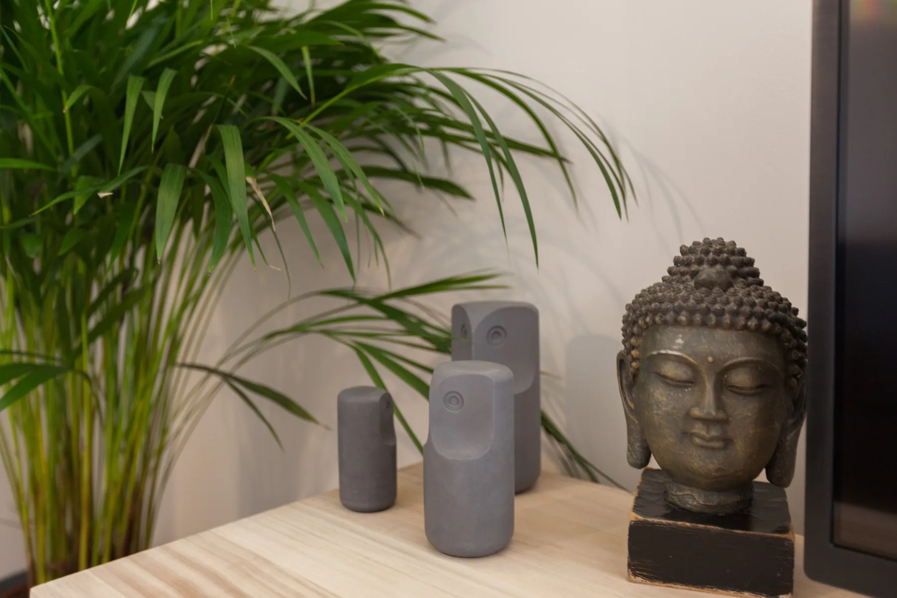 Exhibición decorativa con una escultura de cabeza de Buda y pequeños altavoces junto a una planta frondosa.
