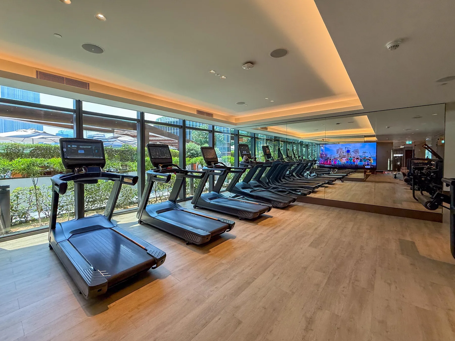 A gym with treadmills lined up beside large windows.