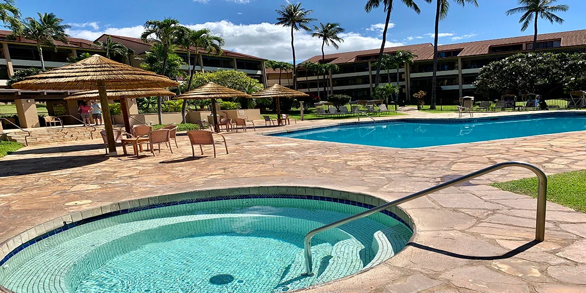 Una piscina y un jacuzzi circular están rodeados de palmeras y senderos de baldosas.
