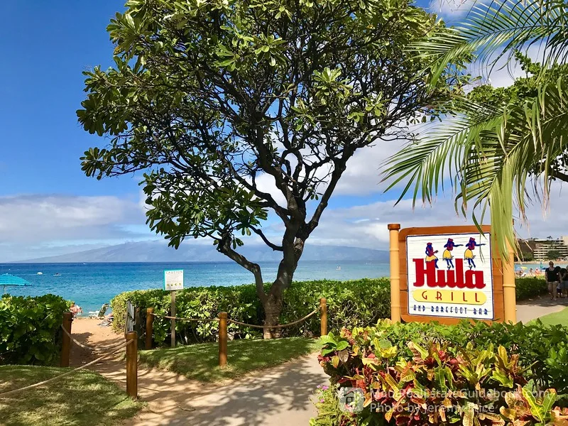 Un sendero costero conduce a una playa junto a un árbol grande y un letrero de restaurante.