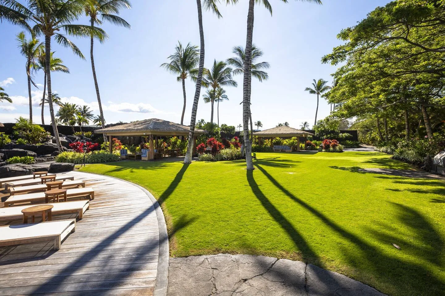 Un jardín soleado con palmeras, césped y una terraza curva con asientos.