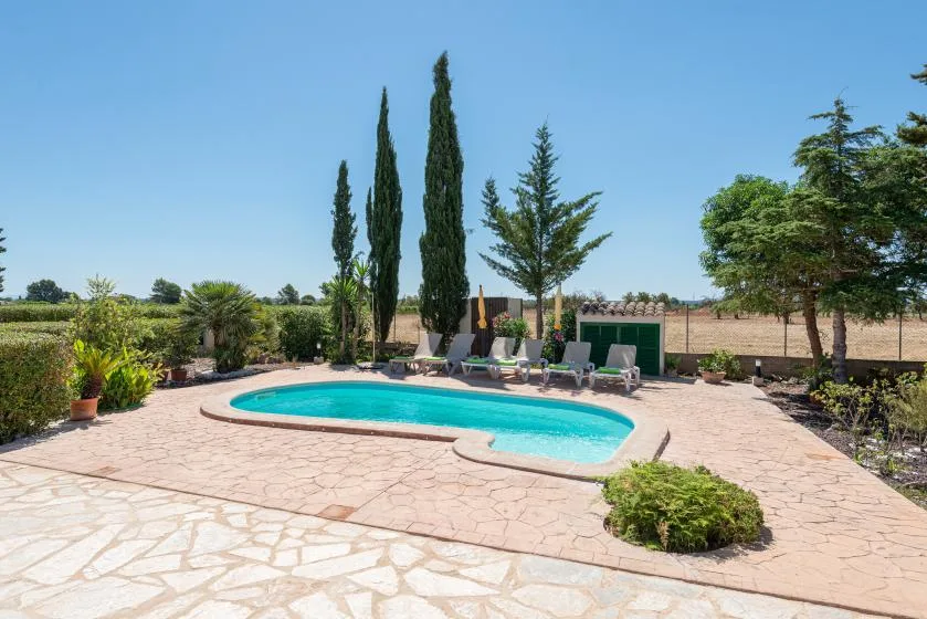 An outdoor swimming pool sits in a paved courtyard surrounded by trees and plants.