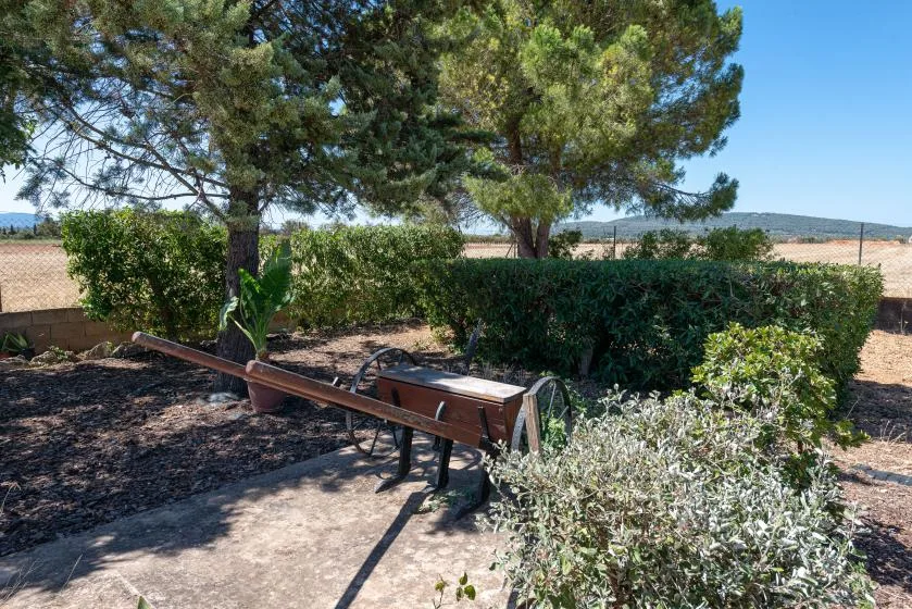 An outdoor garden seating area sits beneath trees and beside trimmed hedges.