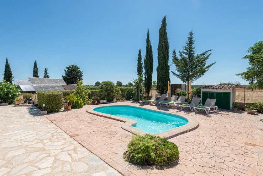 A swimming pool sits in a sunlit paved patio surrounded by trees and lounge chairs.