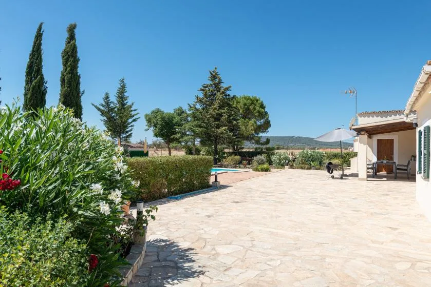 A sunny outdoor patio beside a house, with garden plants and a small pool.