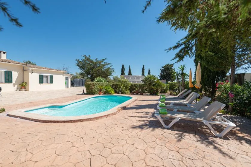 An outdoor pool beside a paved patio with lounge seating and trees.