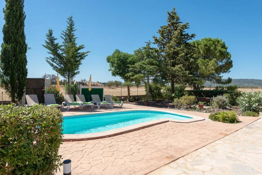 An outdoor swimming pool is surrounded by a paved terrace and trees.
