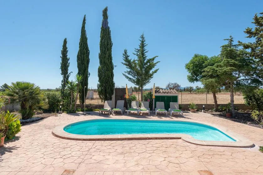 Una piscina al aire libre está rodeada de patio pavimentado y árboles.