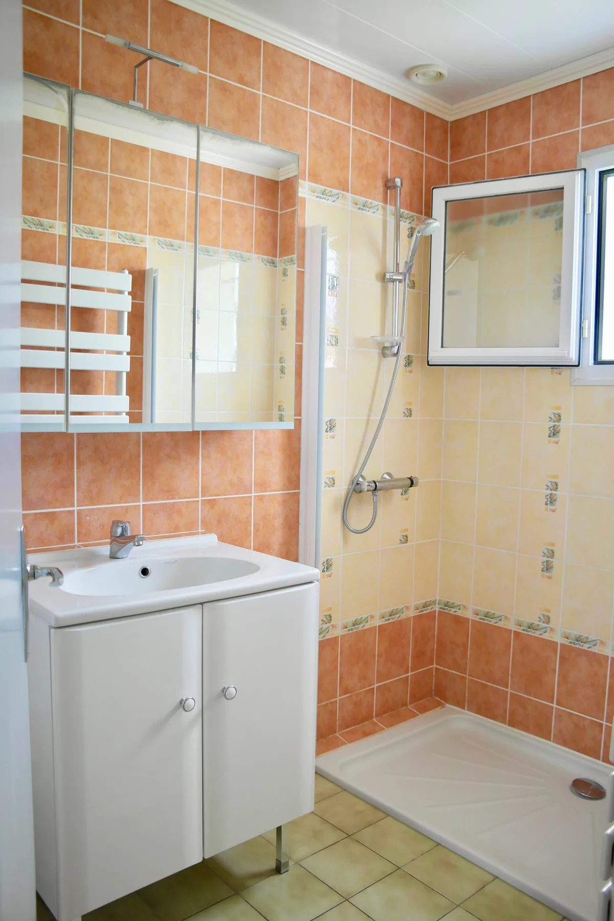 A bathroom with a sink, mirrored cabinet, and shower.