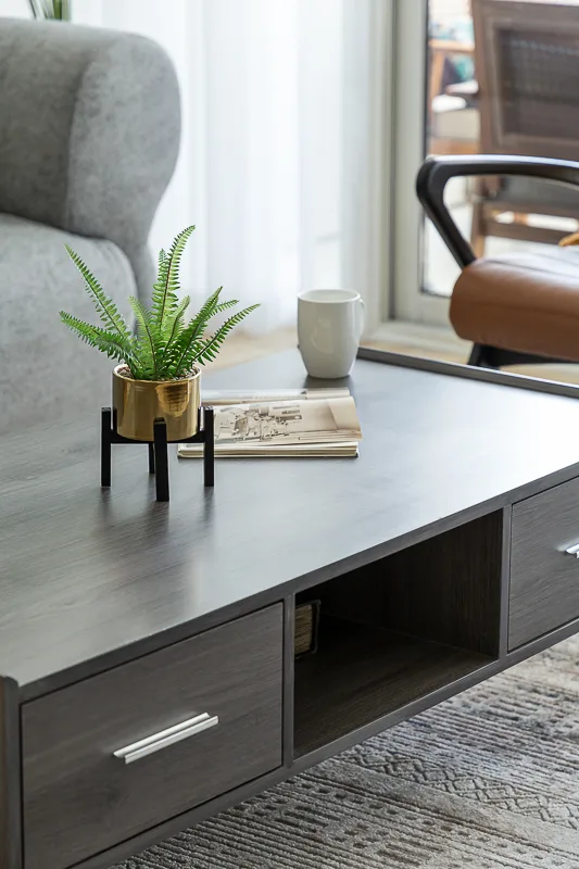 Una zona de estar con mesa de centro oscura, helecho en maceta y libros.
