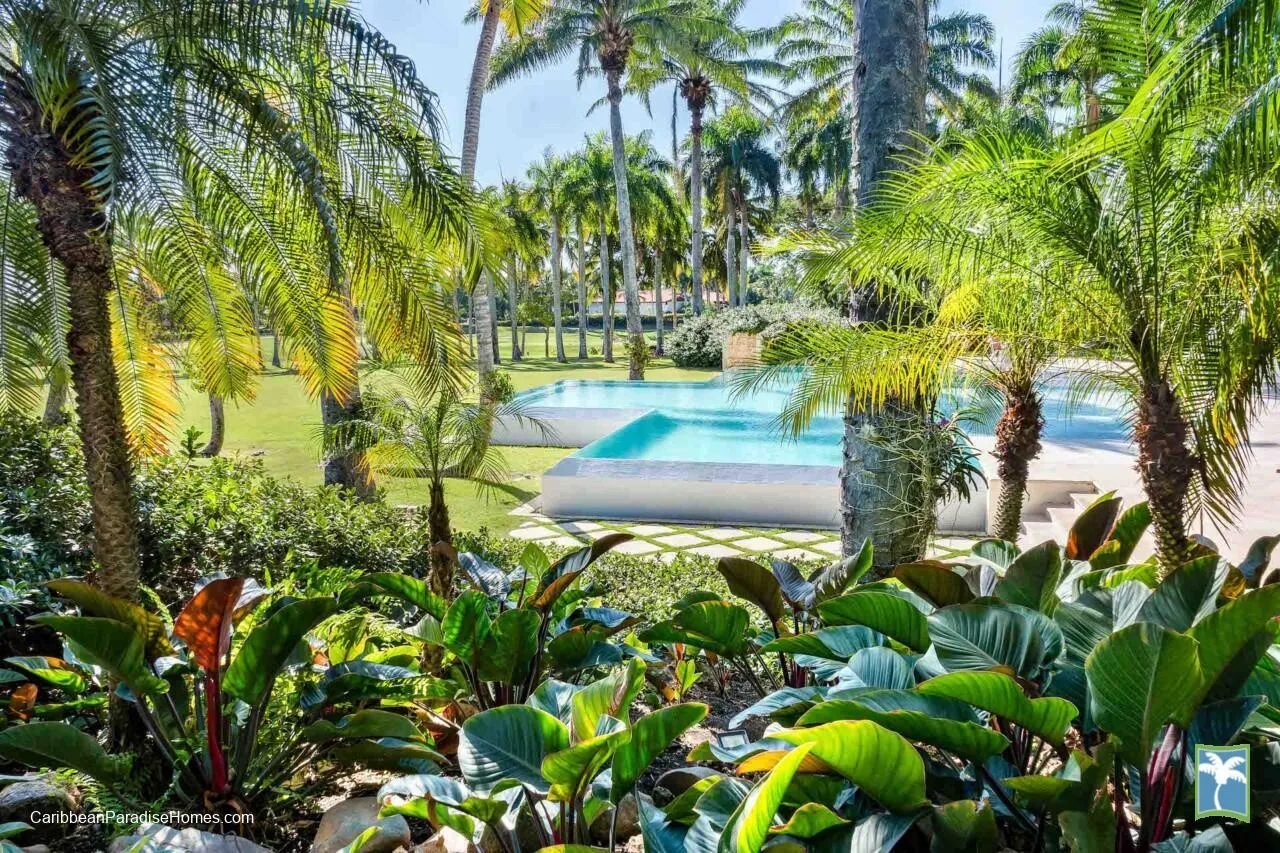 Una piscina está rodeada de palmeras y exuberantes plantas tropicales.
