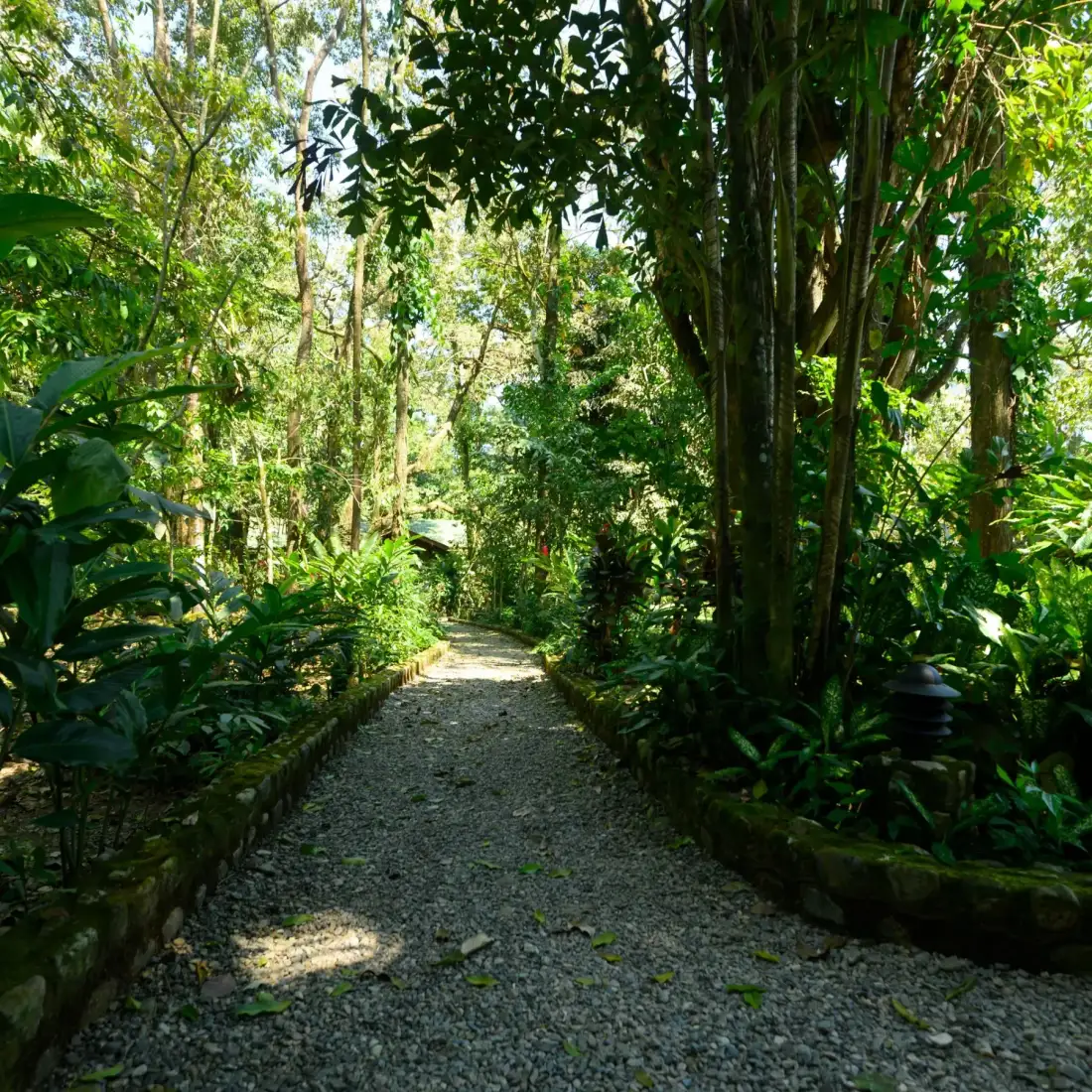 Sendero cerca de las habitaciones.