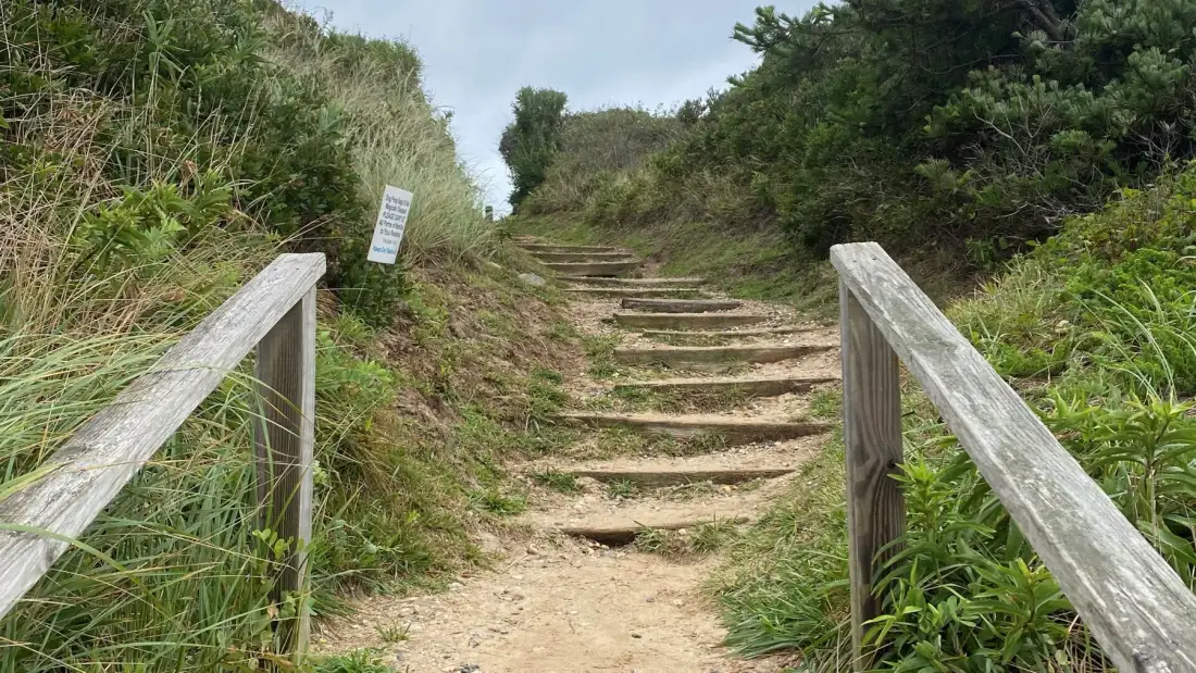 A dirt path with wooden steps climbs through dense green vegetation.