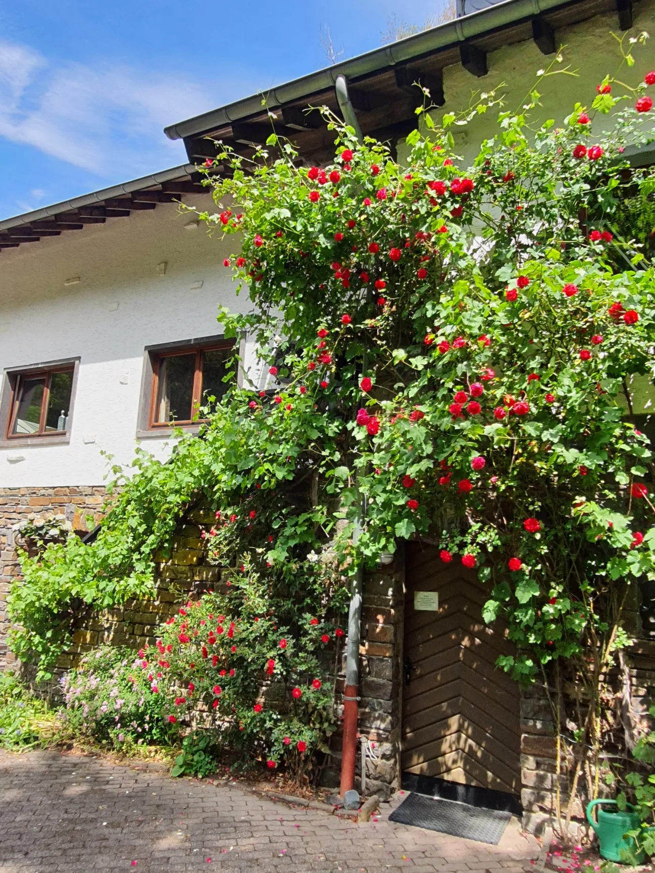 Foto del alojamiento B&B Am Sahrbach