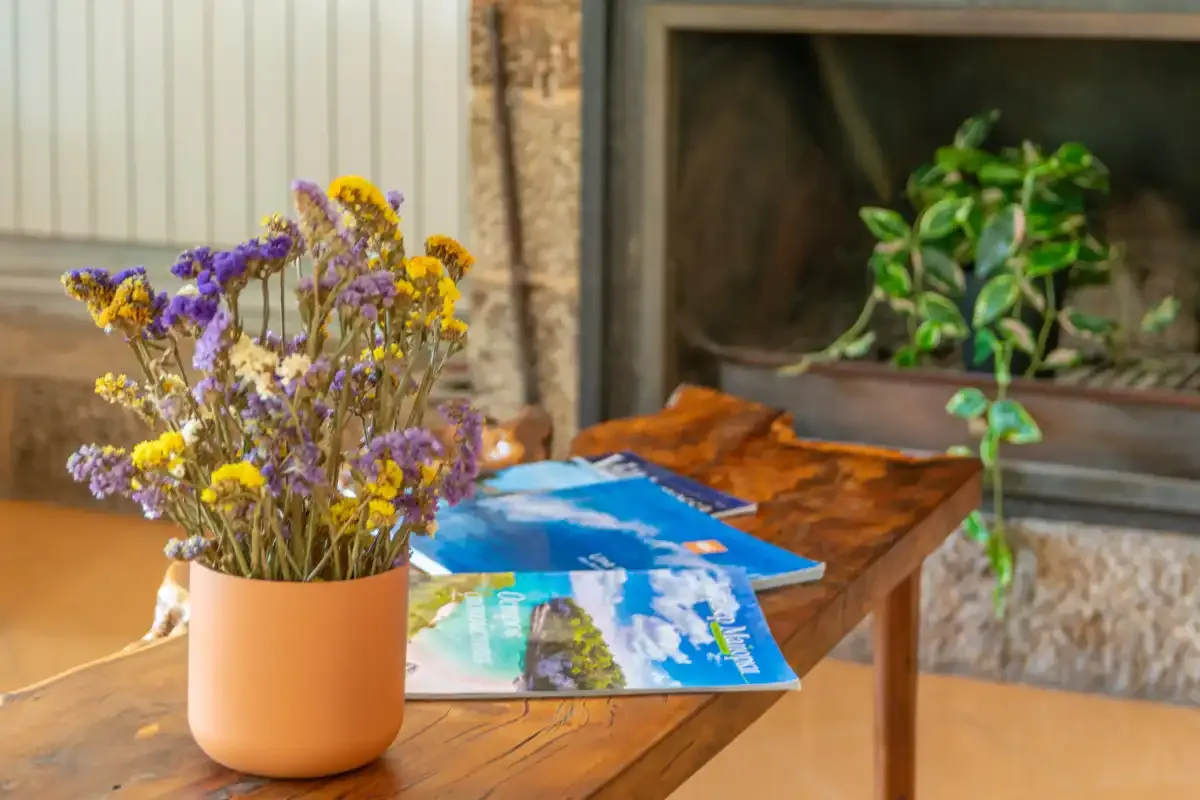 A wooden table displays colorful brochures beside a vase of flowers and a potted plant.