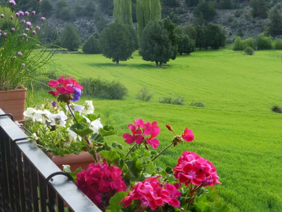 View from El Descansillo