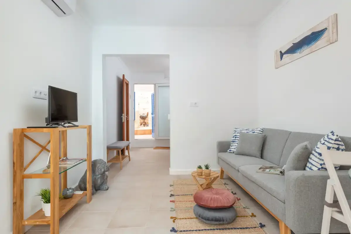 A bright living room with a gray sofa, television, and woven rug.