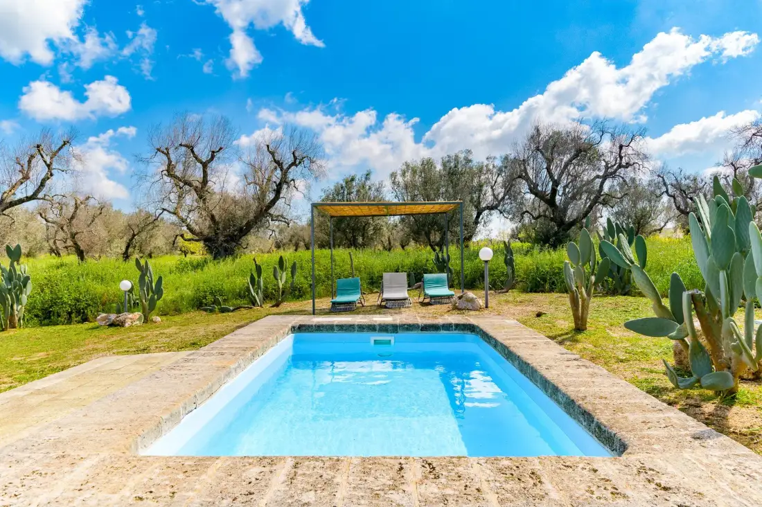 An outdoor swimming pool sits among greenery and trees beneath a bright sky.