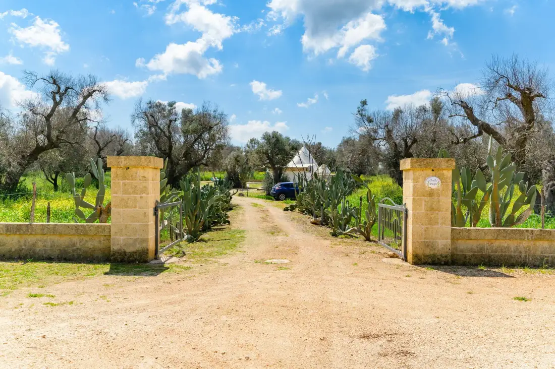 A dirt driveway passes between stone entrance pillars into a tree-lined property.