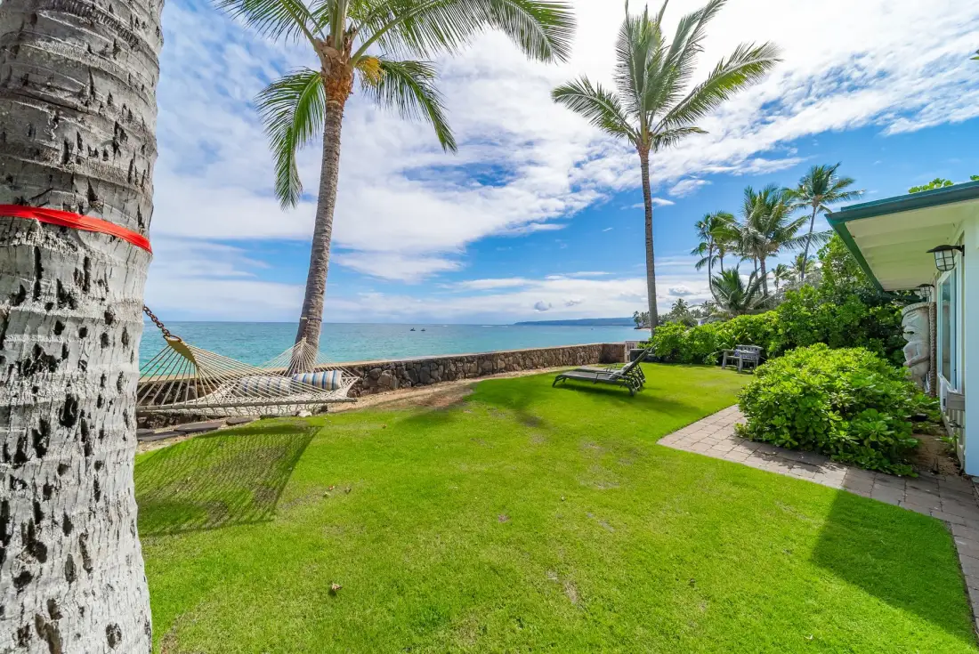 Un jardín junto al mar con palmeras, una hamaca y vistas al océano.